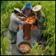 Chinese Traditional Knowledge and Agriculture in KIP Pavilion at Expo 2015... more