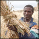La Declaración de Addis Abeba sobre Agroecología, Agricultura Ecológica Orgánica y Soberanía Alimentaria y las iniciativas de la Alianza para la Soberanía Alimentaria in África…para saber más